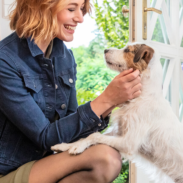 nur die Keyvisual Frau im Strumpfhose kniet um ihren Hund zu begrueßen